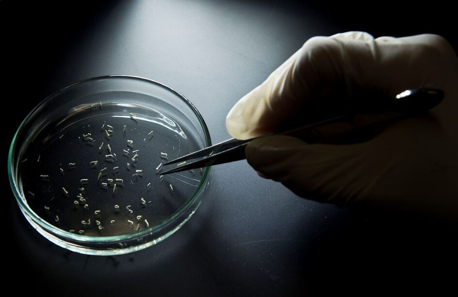 Portugueses descobrem novo teste que vem ajudar doentes com cancro