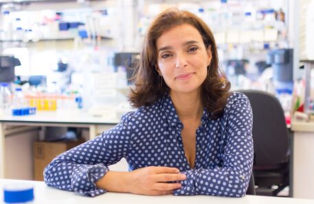 Cientista portuguesa galardoada com Prémio Sanofi-Institut Pasteur 2018