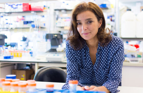 A cientista portuguesa que está a combater a malária no mundo
