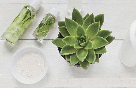 A importância da cosmética biológica, vegan e com zero desperdício 