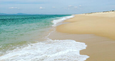 É possível cheirar a verão o ano todo