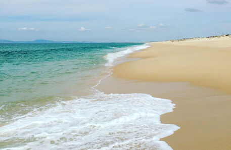 É possível cheirar a verão o ano todo