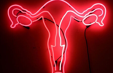 O que esperar do novo museu da vagina em Londres
