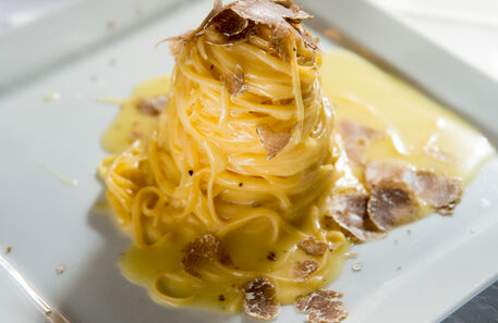 Trufas, o pequeno grande luxo da gastronomia	