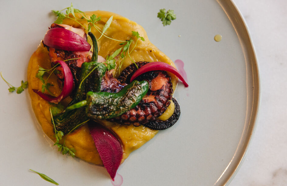 Provar o outono na cidade