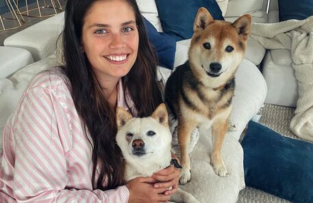 Os animais de estimação das celebridades