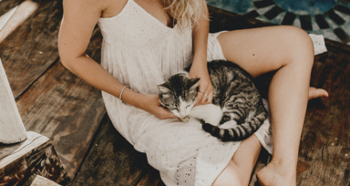 Estas são as formas como os gatos lhe mostram afeição 