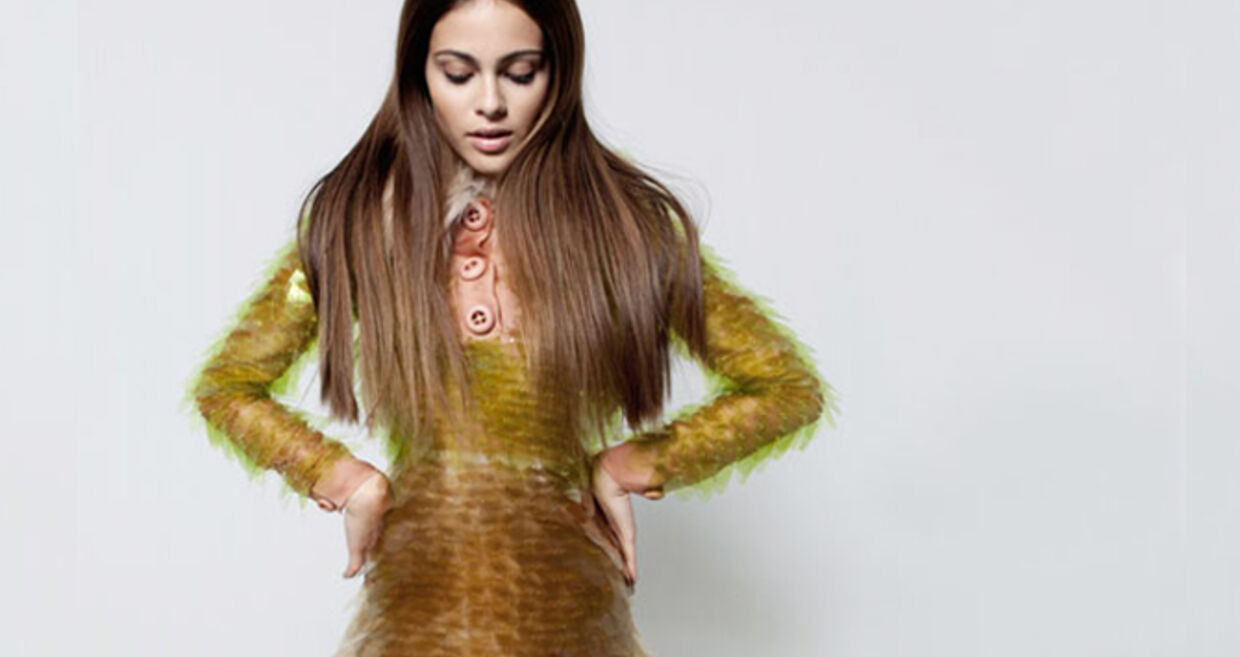 Pequeno compêndio do luxo