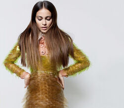 Pequeno compêndio do luxo