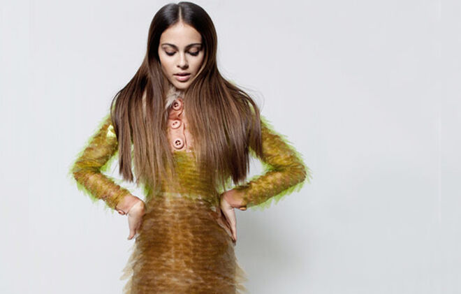 Pequeno compêndio do luxo