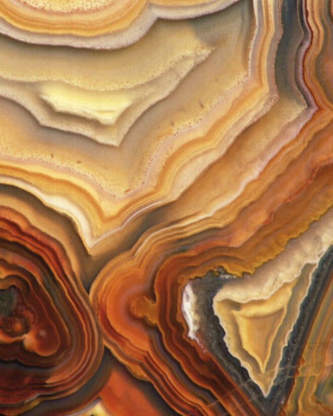 Inspiradas na entrevista de Li Edelkoort.