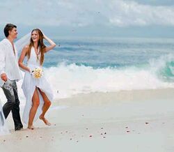 O caminho da felicidade