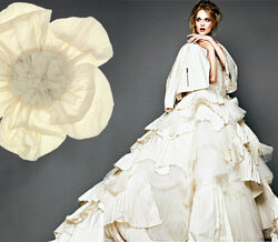 Casamento: Contagem decrescente