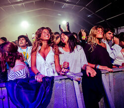 Viva o melhor dos festivais!