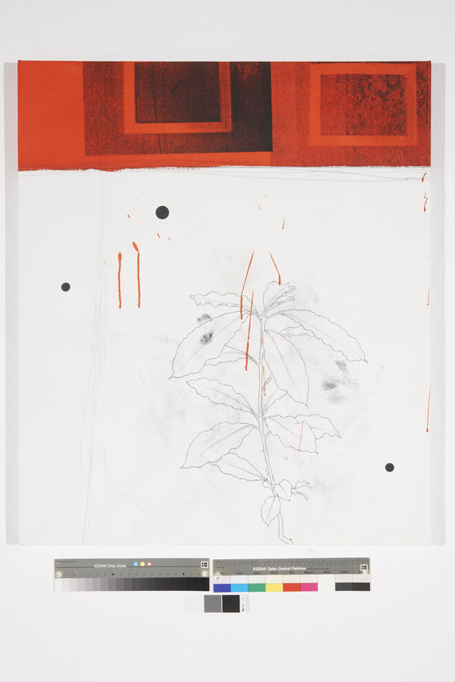 Cortesia Galeria Joan Prats, Barcelona