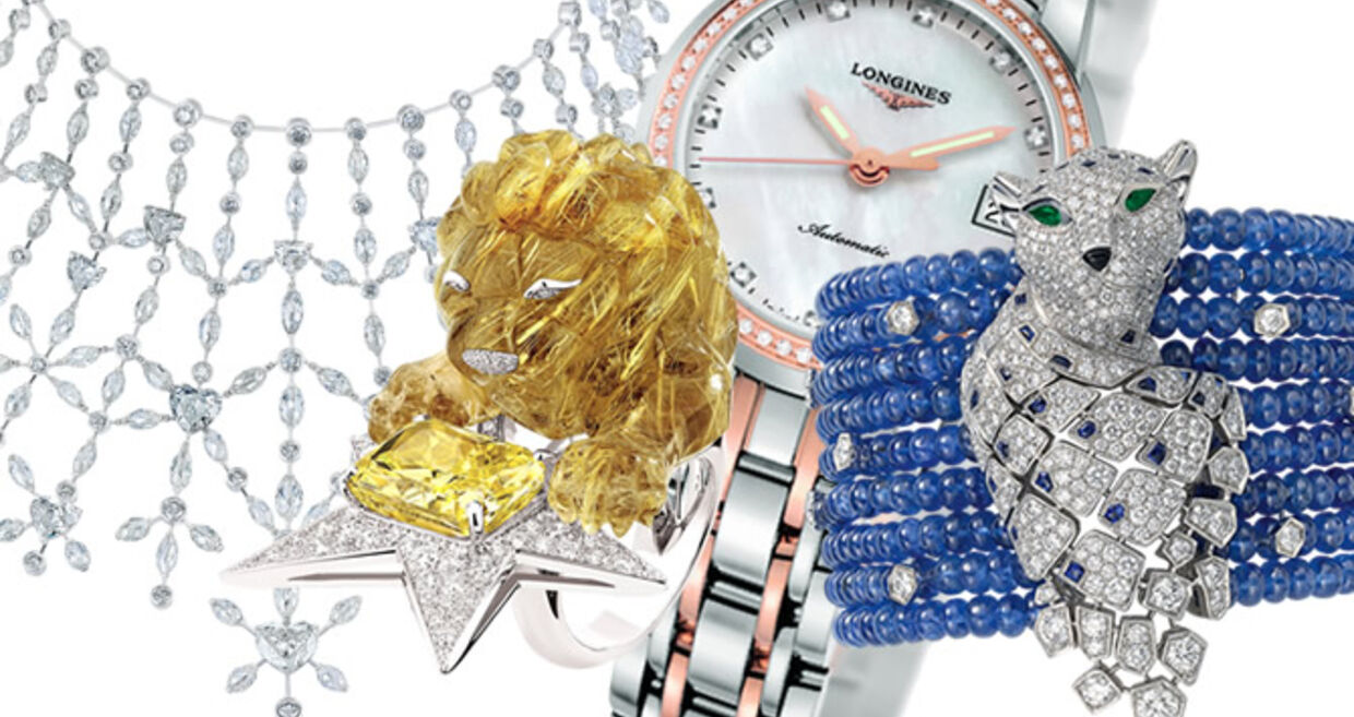 Comemorar - Eles estão de parabéns!