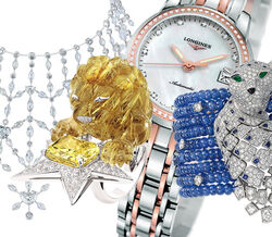 Comemorar - Eles estão de parabéns!