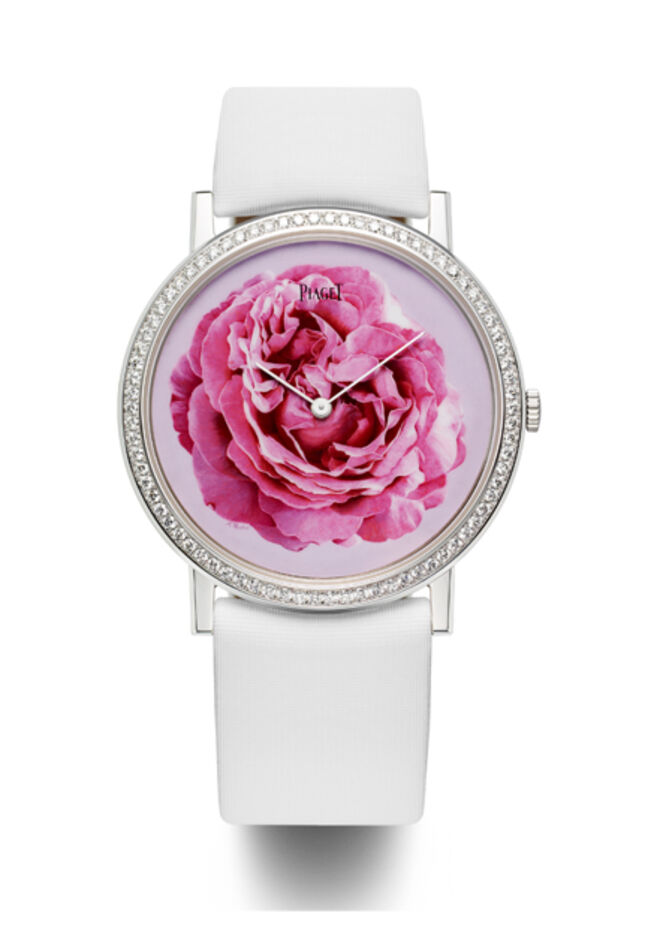 30 anos Rosa Yves Piaget