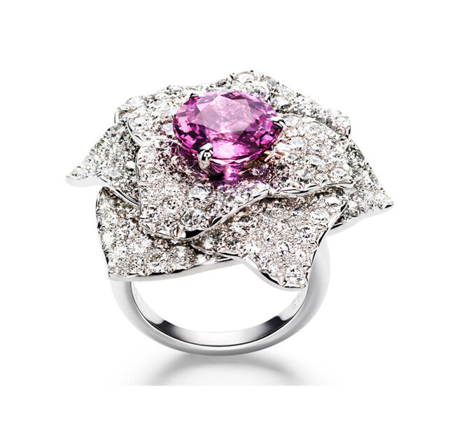 30 anos Rosa Yves Piaget