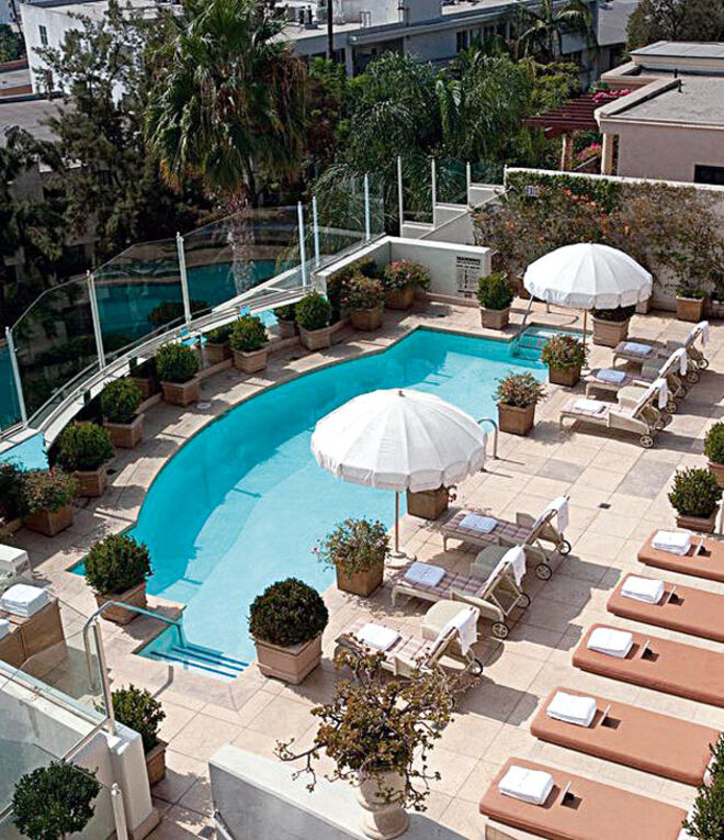 Dirigido por Dimitri Dimitrov