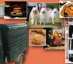 Top 10 – Serviços ao domicílio