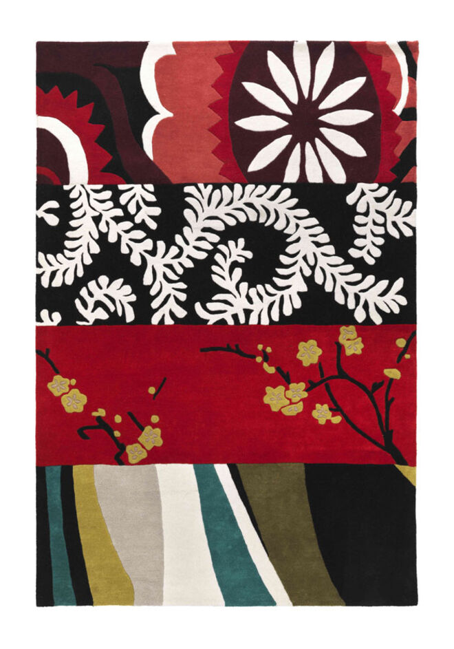 António Moutinho (fotografia)