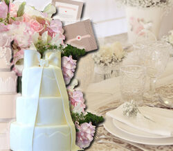 Os ingredientes para uma festa de sonho