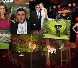 15º White Tie and Tiara Ball 
