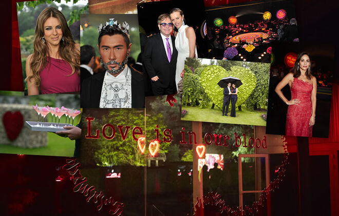 15º White Tie and Tiara Ball 