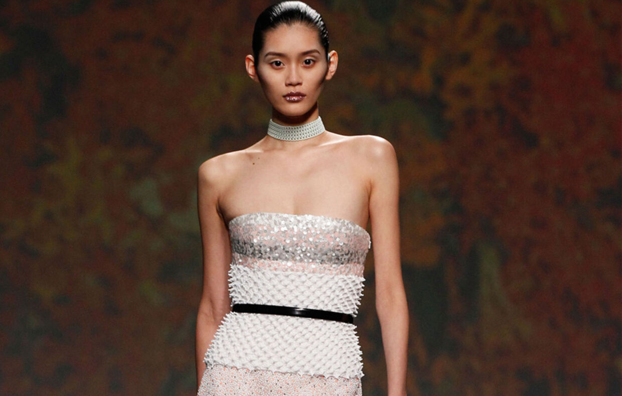 Christian Dior - Alta Costura 2013/2014
