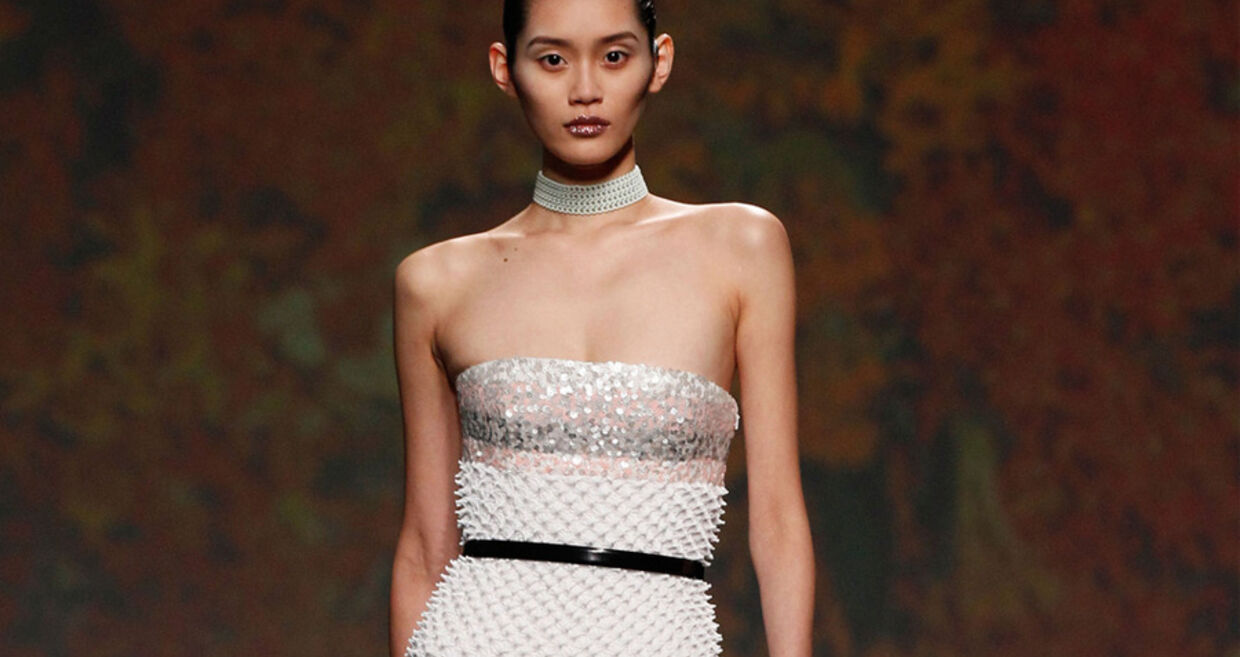 Christian Dior - Alta Costura 2013/2014