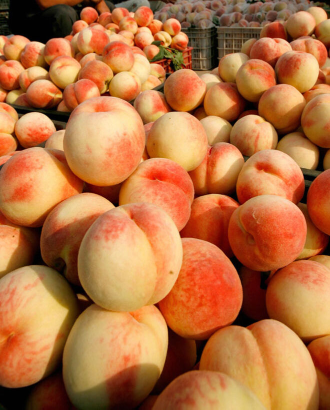 Há várias espécies de pêssego que, segundo a variedade, tem forma arredondada ou alongada e cor que varia entre o branco, o amarelo e o vermelho. Quando comparado a outras frutas quanto ao aspeto nutricional, apresenta valores relativamente elevados de potássio, magnésio, ferro e vitaminas B2 e niacina. Na sua composição apresentam moderadas quantidades de carotenoides. Contém uma mistura de fibras, pelo que se revela importante para o bom funcionamento do intestino. Possui baixo valor calórico ? 45 Kcal/100g. O pêssego é um fruto rico em antioxidantes.