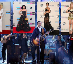 American Music Awards 2013