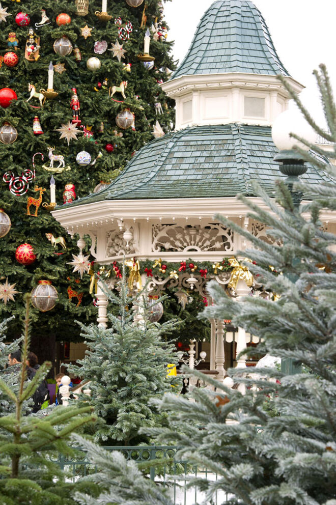 Maestrina de fantasia