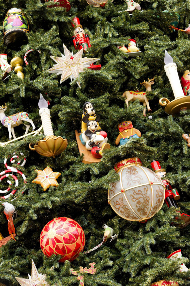 Maestrina de fantasia