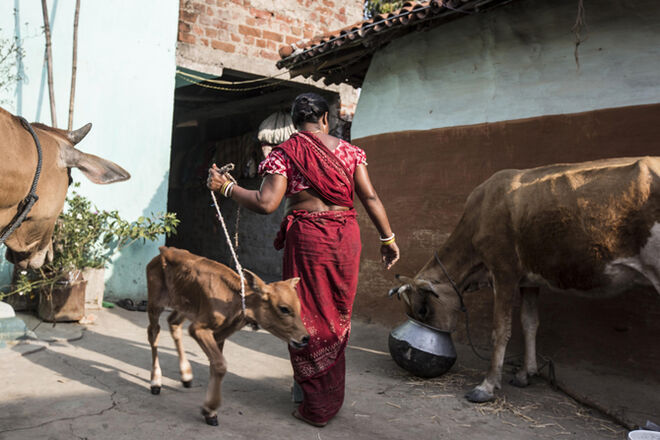 Caça às bruxas na Índia
