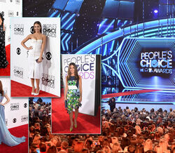 People’s Choice Awards 2014