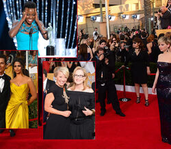 The Screen Actors Guild Awards 2014