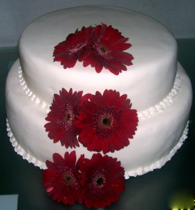 10 passos para um casamento de sonho