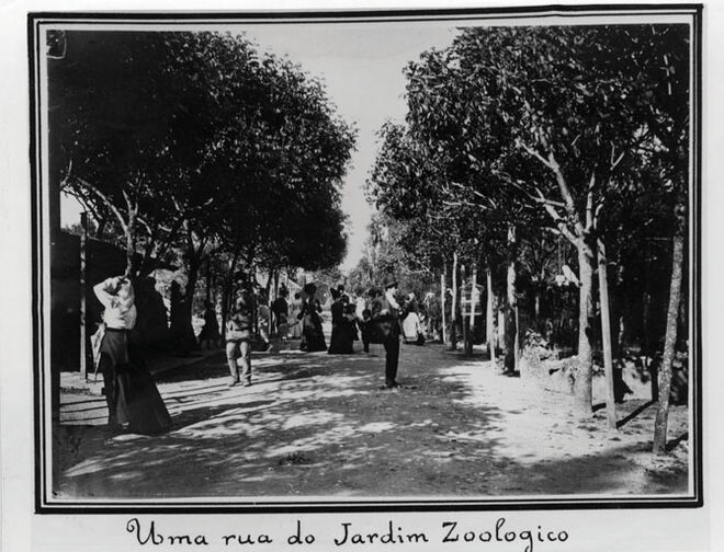 Jardim Zoológico de Lisboa celebra 130 anos