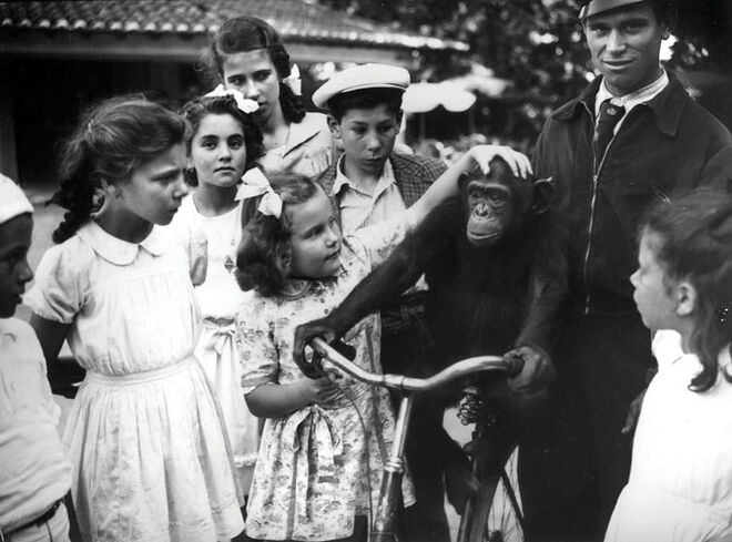 Jardim Zoológico de Lisboa celebra 130 anos