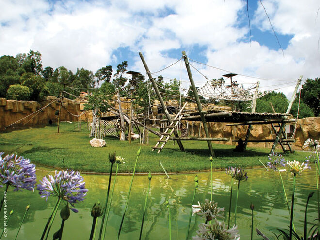 Jardim Zoológico de Lisboa celebra 130 anos