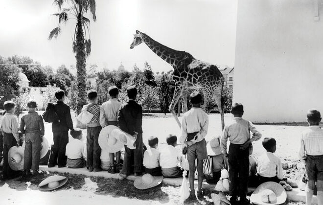 Jardim Zoológico de Lisboa celebra 130 anos
