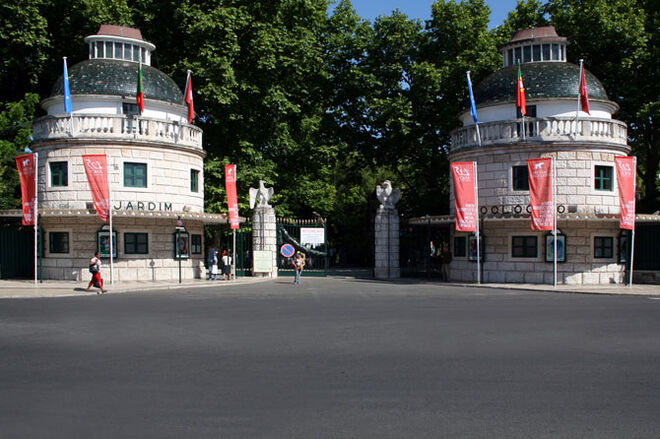 Jardim Zoológico de Lisboa celebra 130 anos