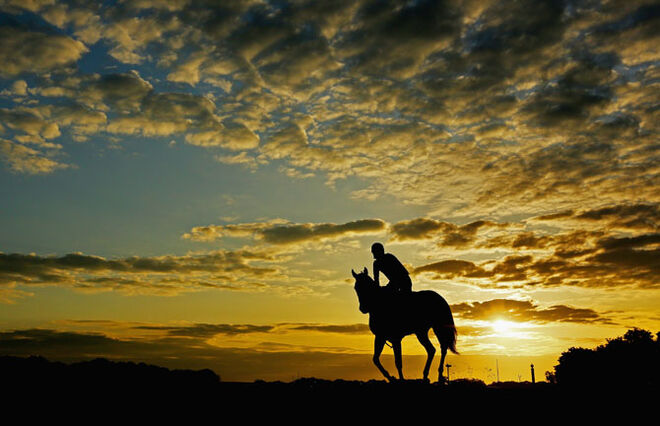 Que exercício queima mais Calorias?