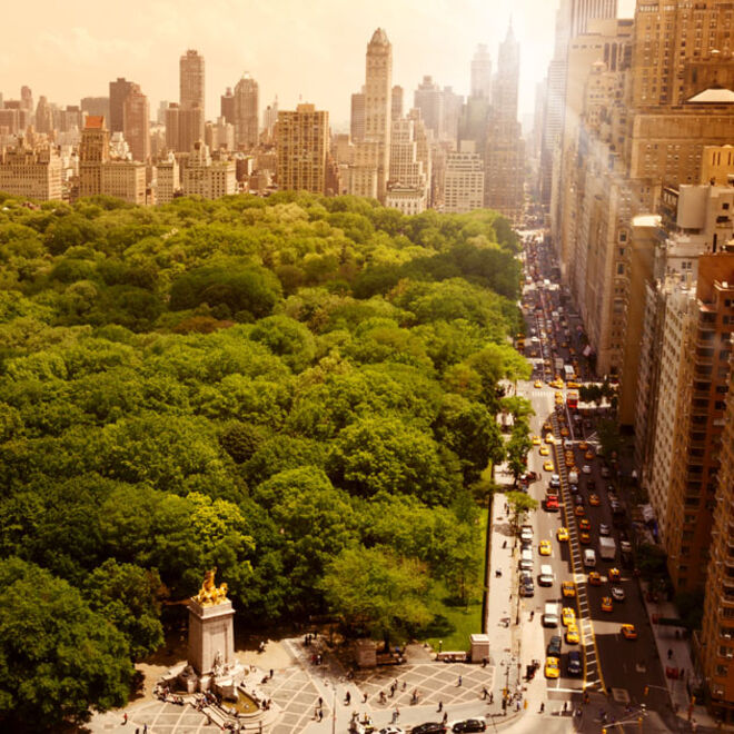 O Meu Mundo: Ireland Baldwin