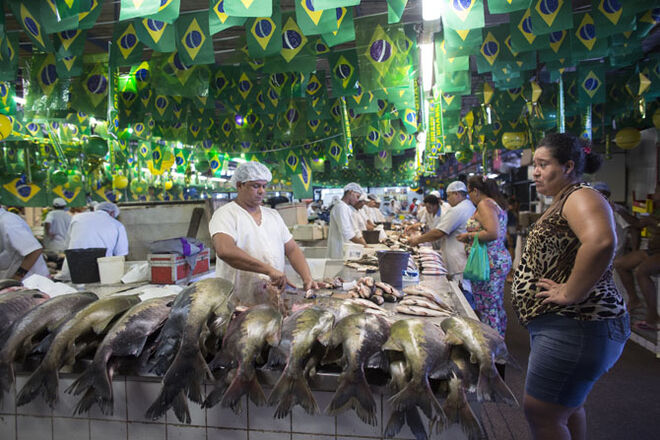 Brasil em Festa