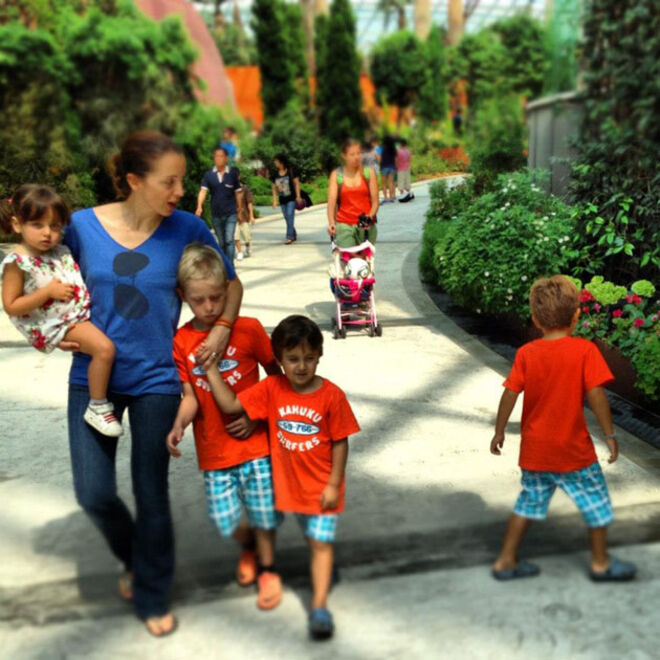 Talentos Sem Fronteiras 