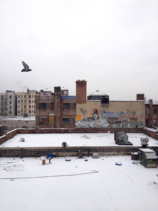 Talentos Sem Fronteiras 