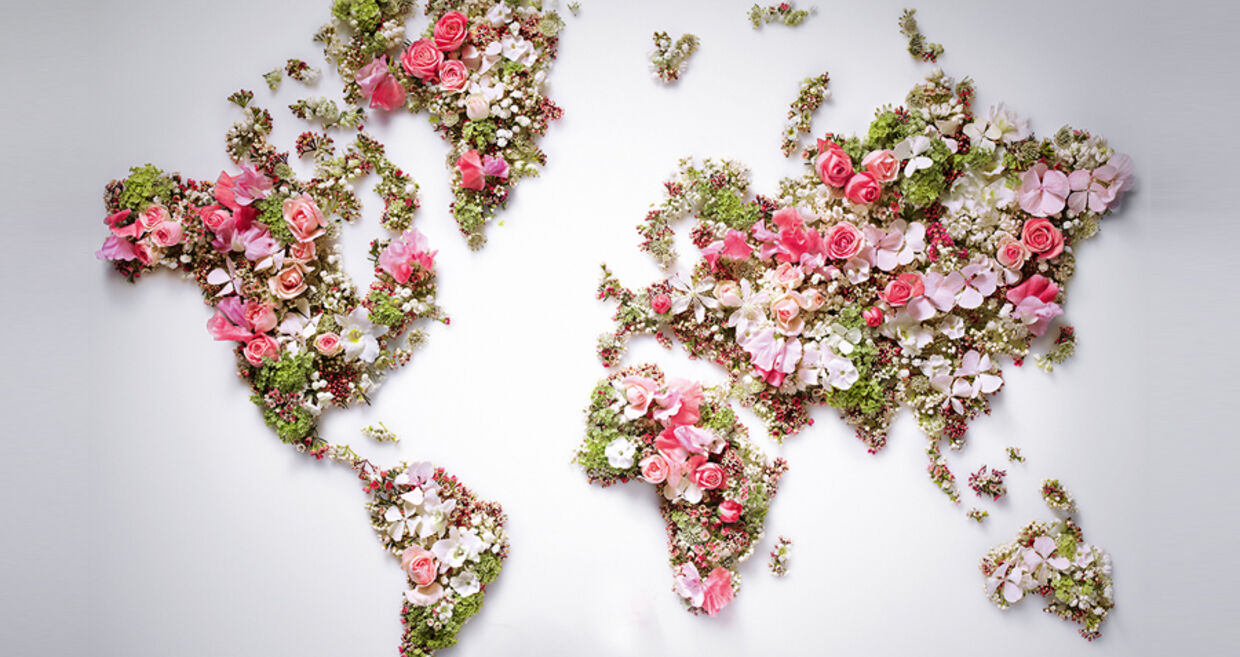 Volta ao mundo floral